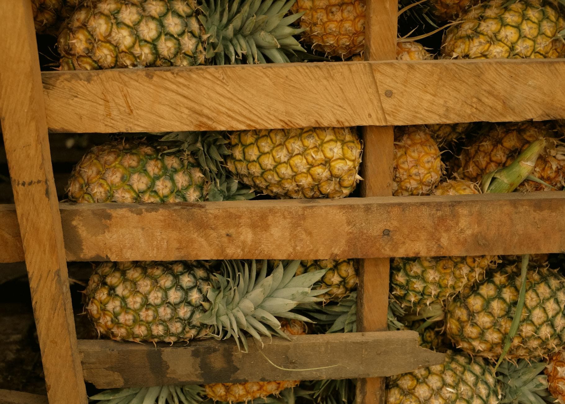 Pineapple