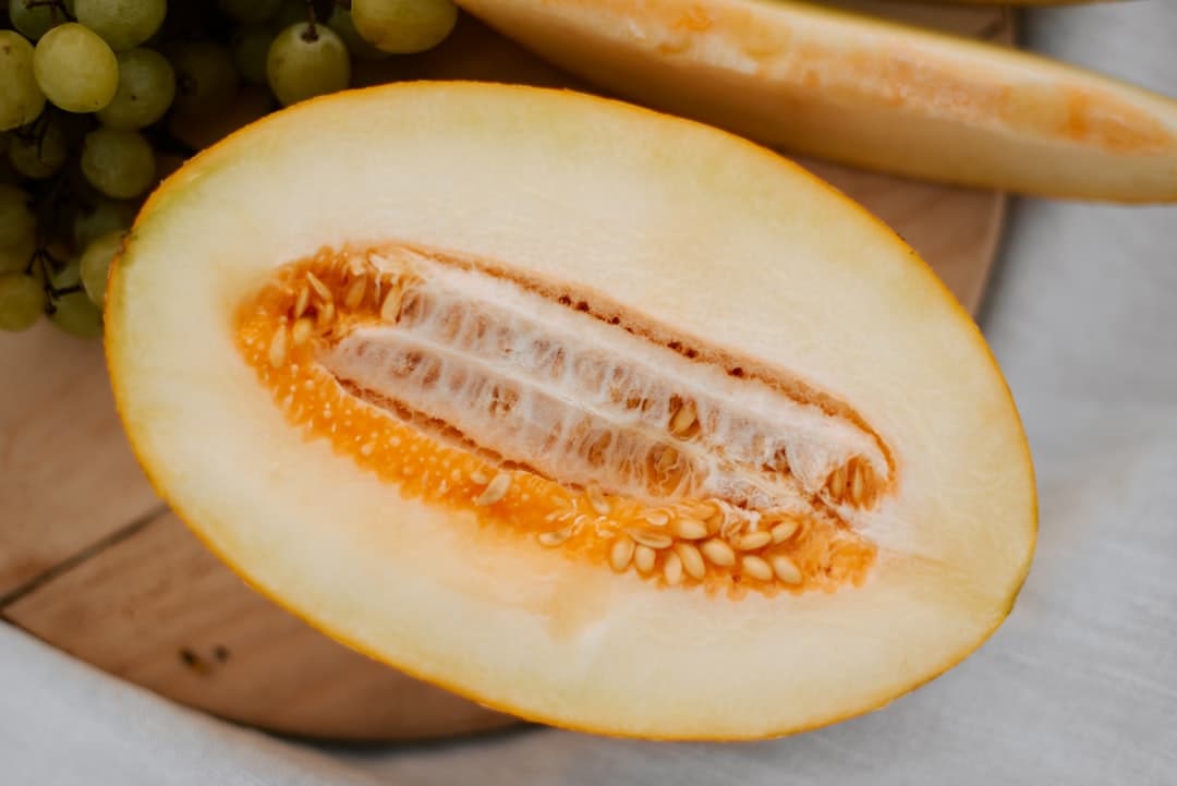 Santa clause melon